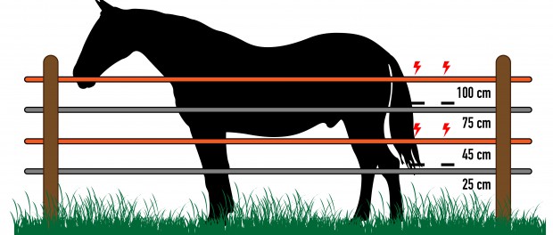 Strip Grazing Horses - Kit and tips - 2023